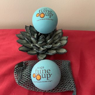 Yoga Tune Up Therapy Balls in tote