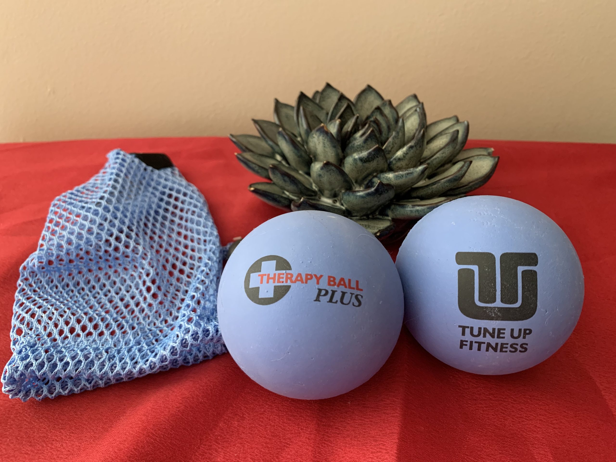 Tune Up Fitness Therapy Balls Plus with Tote 